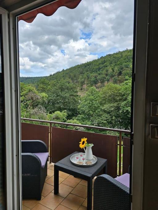 Grosse Ferienwohnung Am Waldrand Шёнау Экстерьер фото